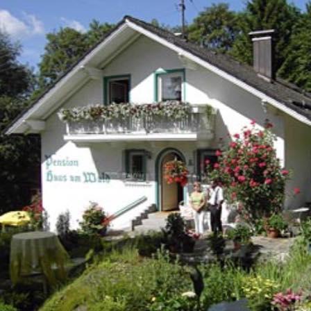 Haus Am Wald Hotel Bayerisch Eisenstein Eksteriør billede